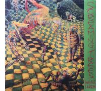 Screaming Trees 'Invisible Lantern' LP Black Vinyl