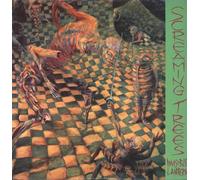 Screaming Trees : Invisible Lantern VINYL 12" Album (2007) NEW Great Value