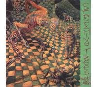 Screaming Trees – Invisible Lantern – Vinyl