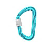 Screw carabiner Edelrid Pure Screw III (icemint)