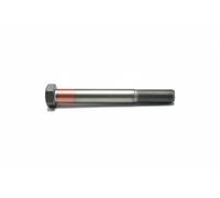 Screw Hexagon 10.9 54036 AUGER