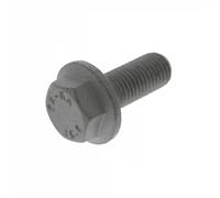 Screw Hexagon 10.9 982-F10-F25.10 FA1
