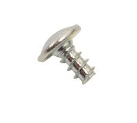 Screw M4.5 X 08 Washing Machine C00065185, 482000022669 SCHOLTES