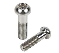 Screw parts ATV Brake Caliper M10x1.25mm Bolt Screw For Y-AMAHA YFM700R YFM700 R 2020 YXZ1000R 2019 SE 2017 SS(2pcs sliver)