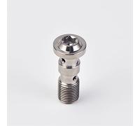 Screw parts Motorcycle M10x1.25 .0 Bolts Front Rear Brake Master Cylinder Screw Hose Caliper Bolt Hydraulic Clutch(M10x1.0 TI)