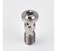 Screw parts Motorcycle M10x1.25 .0 Bolts Front Rear Brake Master Cylinder Screw Hose Caliper Bolt Hydraulic Clutch(M10x1.25 TI)