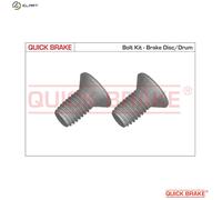 OJD Quick Brake Screw Set Brake Disc 11670K for Land Rover Freelander 2 LR2/Discovery/Van