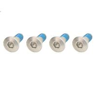 Screw Set, brake disc TRW MSS114-4