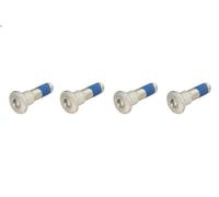Trw For Brake Discs Mss134-4 Screw Kit Silver