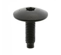 FA1 21-70003.10 Screw