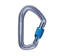 Screw-type climbing carabiner Black Diamond Hotforge Grey One size