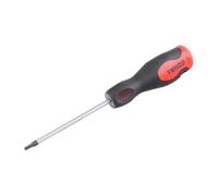 Screwdriver - TX Drive - TX15 x 100mm