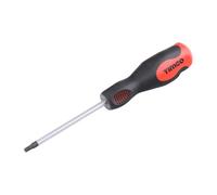 Screwdriver - TX Drive - TX25 x 100mm