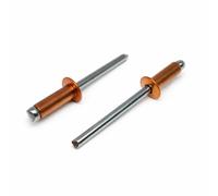 Screws City 3mm X 8mm - Pack Of 100 - Iso 16582 - Copper Blind Pop Rivet Dome Head Steel Shaft E5B
