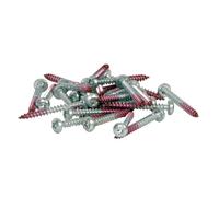 Screws Gallagher 4,5x40 T25