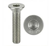 Screws Inox M3 x 6 mm Countersunk Head BTR Diameter 3 x 6 mm | Screw M3 x 6 mm FHC Allen Key | Stainless Steel A2-70 (V2A/304) | ISO 10642 / DIN 7991: Pack of 5 ProRaje