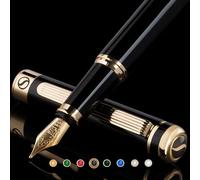 Scriveiner Silver Chrome Fountain Pen - Stunning Luxury Pen, Real Gold Plating, Schmidt Gilded Nib (Broad), Best Pen Gift Set for Men & Women, Professional, Executive Office, Nice Designer Pens
