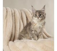 Scruffs Aspen Dog/Pet Blanket