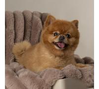 Scruffs Aspen Dog/Pet Blanket