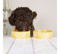 Scruffs Aztec 2pc Ceramic Dog Bowl Set - Sunflower 15cm