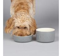 Scruffs Classic 2 Piece Dog Food & Water Bowl Set - 15cm each - Grey