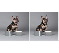 Scruffs Classic 2 Piece Flat Faced Dog Bowl & Water Bowl - 15cm | 18cm - Grey (Pack of 2)
