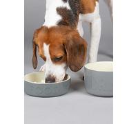 Scruffs Classic Slow Feeder 16cm & Drink Bowl 15cm Set for Dogs or Cats Grey