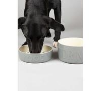 Scruffs Classic Slow Feeder & Drink Bowl Set for Dogs - 20cm Grey
