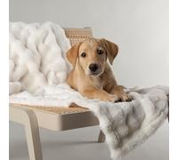 Scruffs Cloud "My First" Puppy or Kitten Blanket - Cream