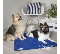 Scruffs Cool Mat for Pets - Blue - Size: Large - Pet Beds