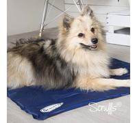 Scruffs Cool Mat for Pets - Blue - Size: Medium - Pet Beds