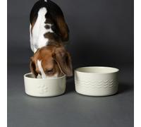 Scruffs Icon 2 Piece Dog Food & Water Bowl Set - 19cm | 20cm - Cream