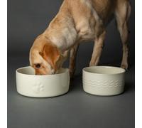 Scruffs Icon 2 Piece Dog Food & Water Bowl Set - 25cm | 20cm - Cream