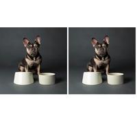 Scruffs Icon 2 Piece Flat Faced Dog Bowl & Water Bowl - 20cm | 18cm - Cream (Pack of 2)