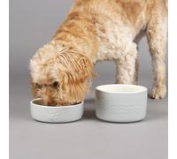 Scruffs Icon 2 Piece Set Pet Food & Water Bowl Set - Light Grey