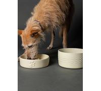Scruffs Icon Slow Feeder & Drink Bowl Set for Dogs - 20cm Cream