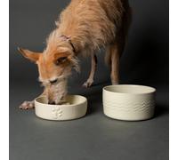 Scruffs Icon Slow Feeder Pet Bowl - 16 x 16 x 5cm