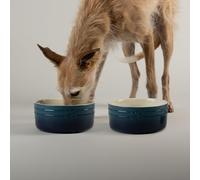 Scruffs Ombre 2pc Ceramic Dog Bowl Set - Blue 19cm