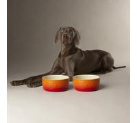 Scruffs Ombre 2pc Ceramic Dog Bowl Set - Orange 19cm