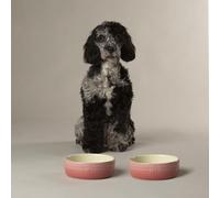 Scruffs Ombre 2pc Ceramic Dog Bowl Set - Pink 15cm