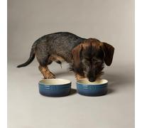Scruffs Ombre 2pc Ceramic Dog/Pet Bowl Set - Blue 13cm