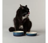 Scruffs Ombre 2pc Cermaic Cat Food & Drink Bowl Set - Blue