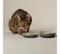 Scruffs Ombre 2pc Cermaic Cat Food & Drink Bowl Set - Grey