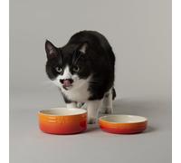 Scruffs Ombre 2pc Cermaic Cat Food & Drink Bowl Set - Orange