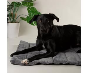 Scruffs Roll Out Travel Pet Bed-Large