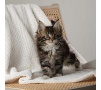 Scruffs Starlight "My First" Puppy or Kitten Blanket