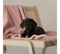 Scruffs Starlight "My First" Puppy or Kitten Blanket