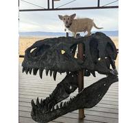 Scruffy Puppy & T-Rex composition notebook: A Fun Motivational Adventure Journal for Kids and Dino & Dog Lovers (110 Pages, Wide Ruled)