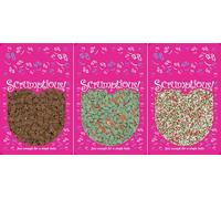 Scrumptious! - Bundle - Christmas Favourites Edible Cake Topper Sprinkles Cupcake Decorations - 1x25g Holly and Berries, 1x25g Gingerbread Men, 1x30g Matt Red, Green and White 100s and 1000s