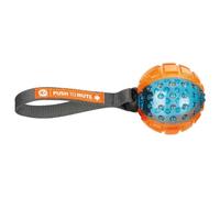 Scrunch Squirrel Beeper Dog Toy